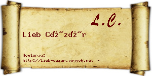 Lieb Cézár névjegykártya